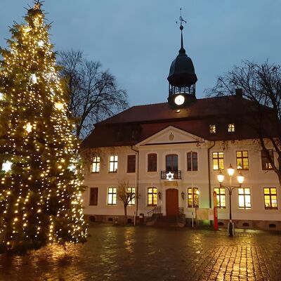 Rathausplatz NG mit Weihnachtsbaum